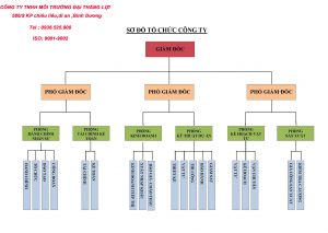 Sơ đồ tổ chức